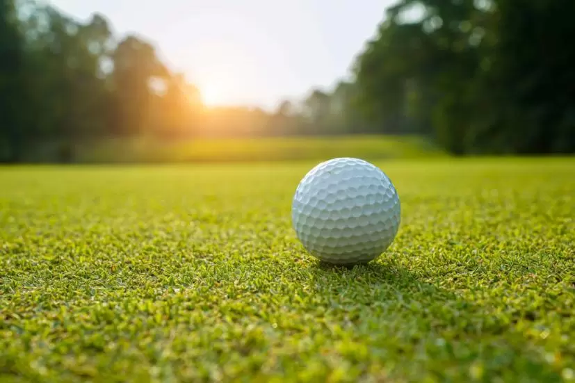 ゴルフボール
