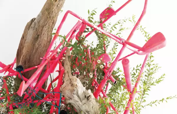 華道家「雪月香」氏とのコラボレーション