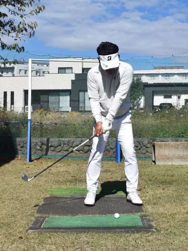 重田栄作,スイング