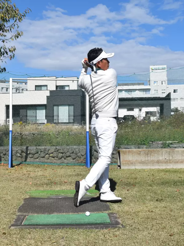 重田栄作,スイング