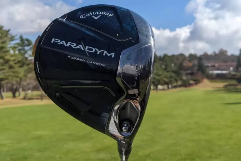 パライダイムドライバー