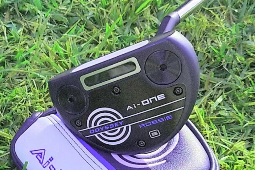 AI-ONE ROSSIE S パター