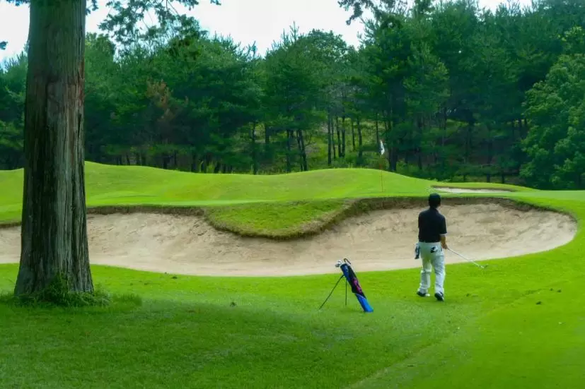 ナイスショット