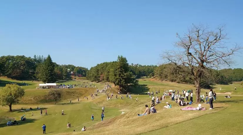 鳴尾ゴルフ倶楽部,鳴尾ゴルフフェスタ