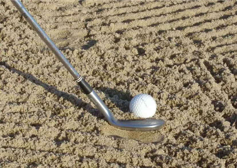 ゴルフ場,ボール