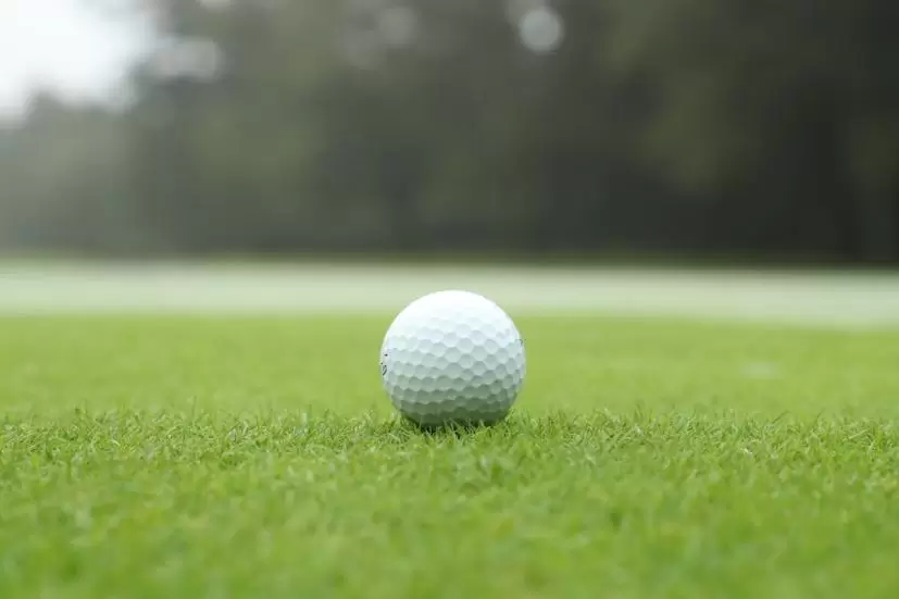 ゴルフボール