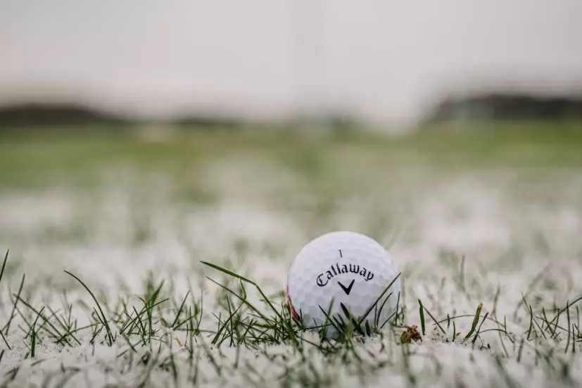 ゴルフボール,霜