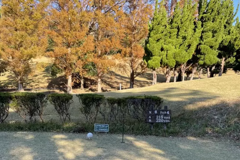 ティーイングエリア