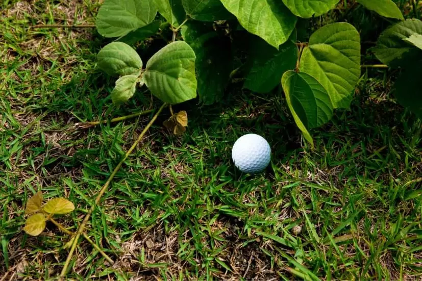 ゴルフボール