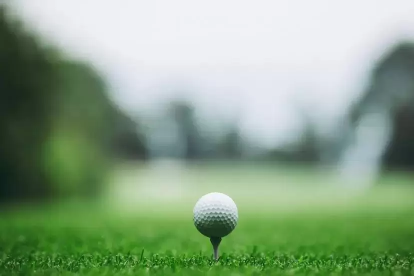 ゴルフボール,ティー