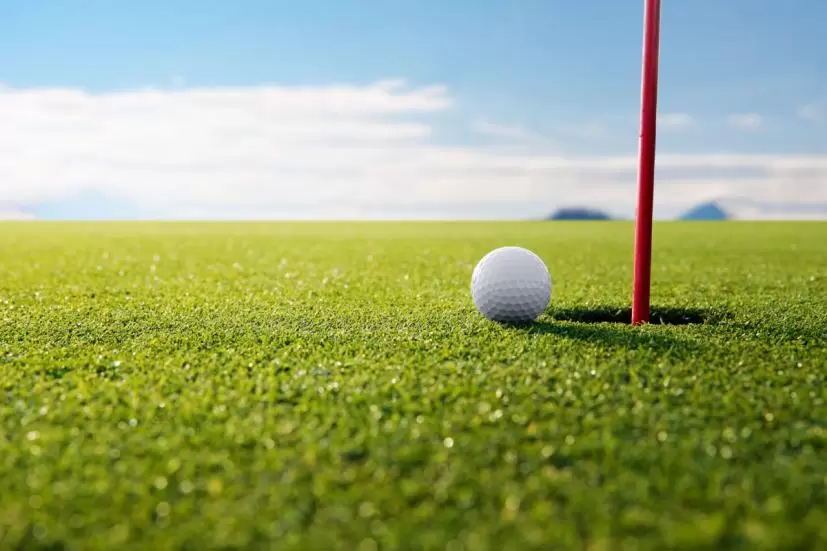 グリーン,ホール