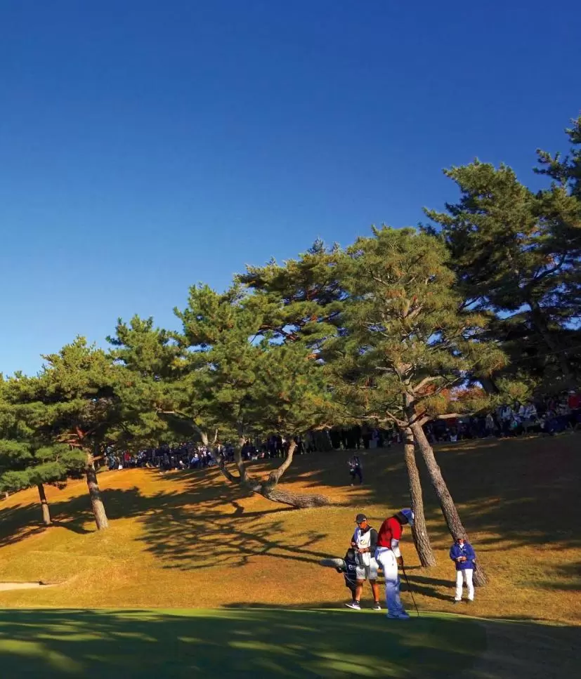 ゴルフ日本シリーズJTカップ