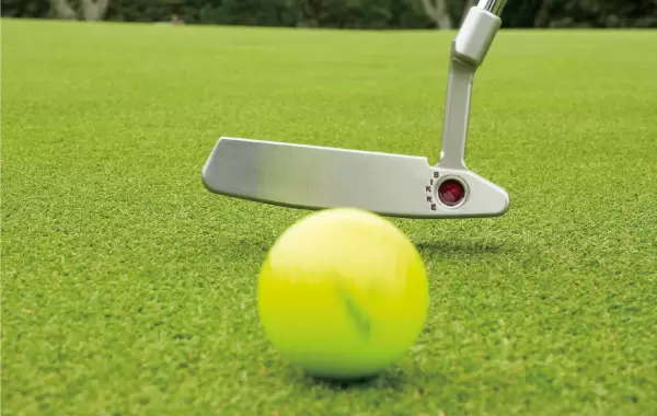 ボールとの相性