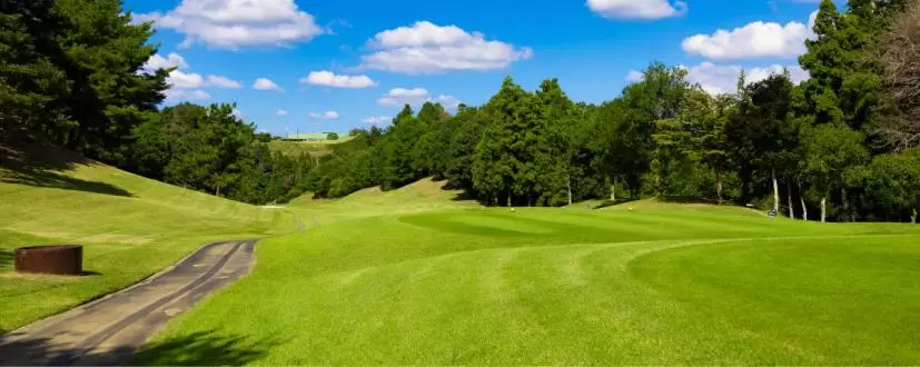 カート道路,ティーイングエリア
