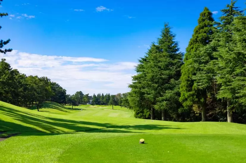 ゴルフ場,ティーイングエリア