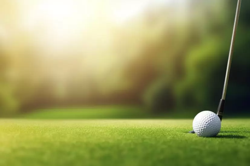 ゴルフボール