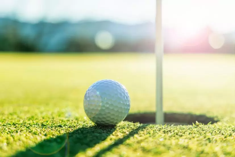 ゴルフ場,ゴルフボール