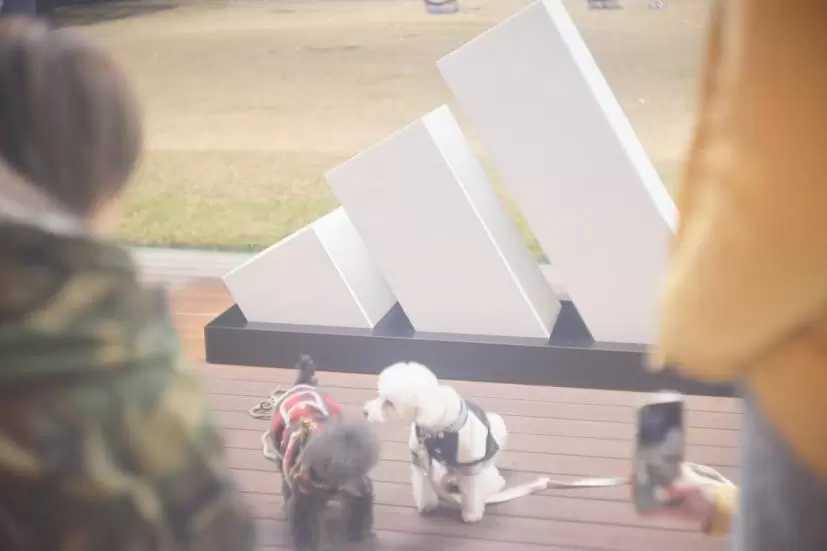 アディダスゴルフ,マルボンゴルフ,イベント