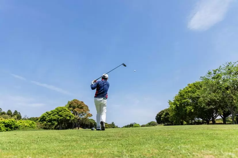 ゴルフショット