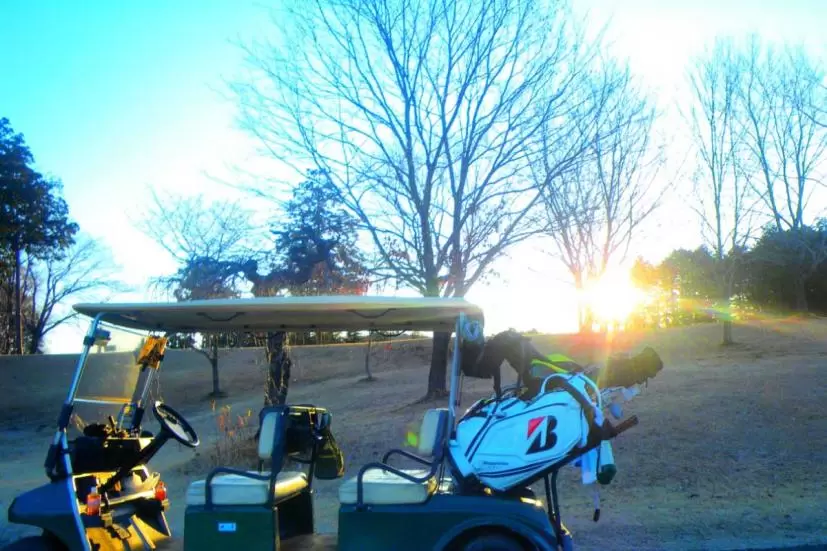 カート,キャディバック