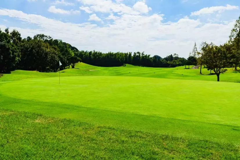 ゴルフラウンド