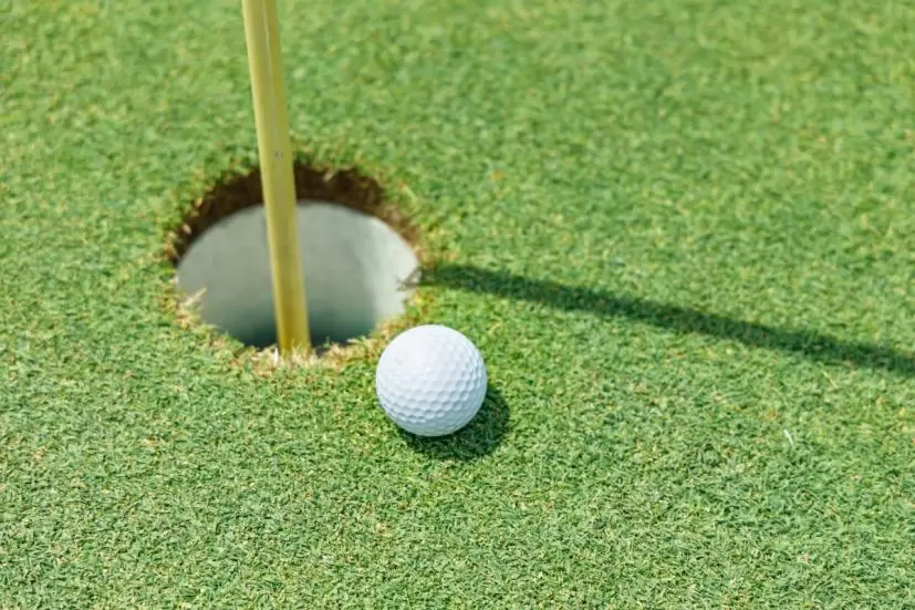 ゴルフ場,グリーン,パッティング