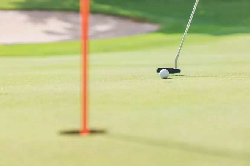 ゴルフ場,グリーン,パッティング