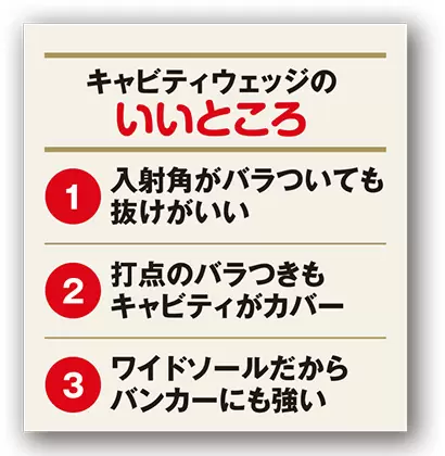 キャビティウェッジ