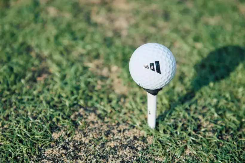 アディダスゴルフ,ラウンド