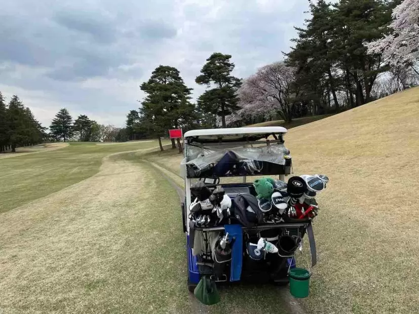 ゴルフ場,ゴルフカート