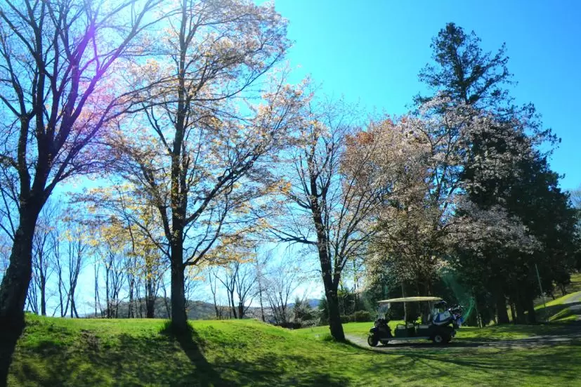 ゴルフ場,ゴルフカート