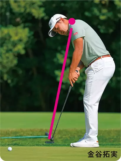 頭部も躯幹部も起き、腕、ヒジ、手首は伸びる傾向、ストローク・プレーンは隆椎中心。