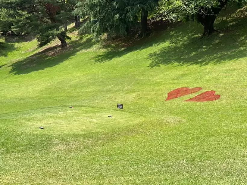 ゴルフ場,女性イベント