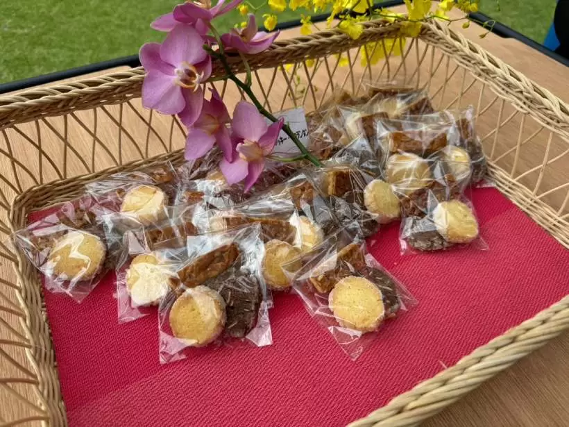 トラヴィスマシュー,イベント