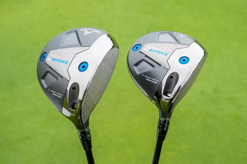 「パラダイム Ai スモーク Ti 340 ミニ ドライバー」