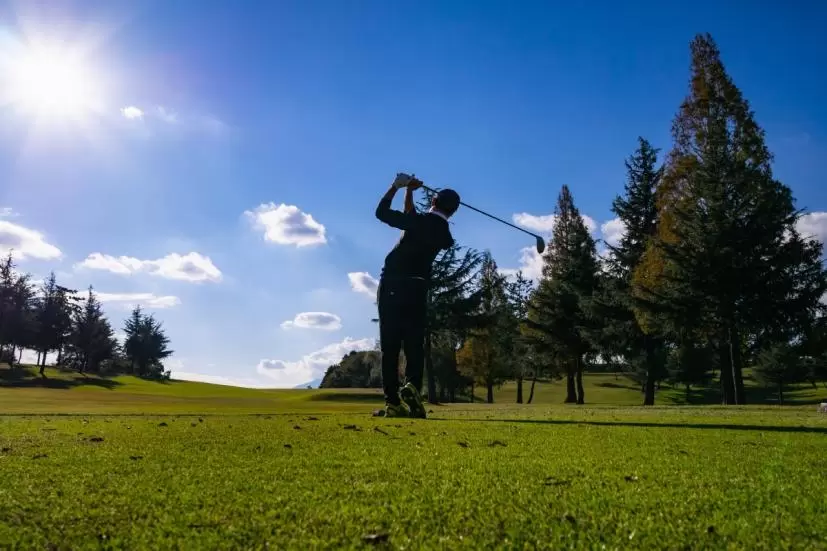 ゴルファー,スイング