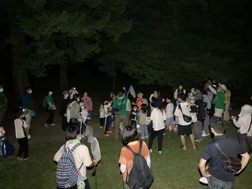 夜のゴルフ場で昆虫を観察！「夏休みの自然観察会 とんもり谷戸」開催