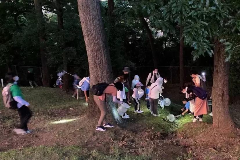 夜のゴルフ場で昆虫を観察！「夏休みの自然観察会 とんもり谷戸」開催