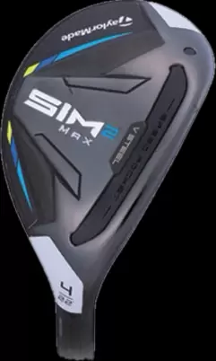 SIM2 MAX レスキュー（2021）