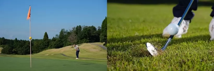 アプローチ,オーパス,インパクト