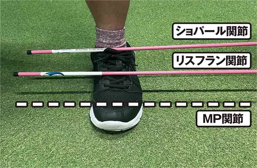 足にある3つの関節を意識することでボールを曲げやすくなる。