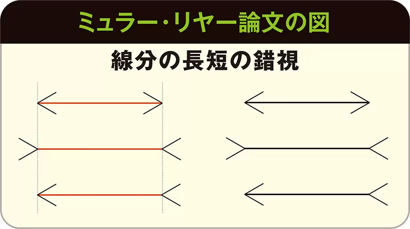 同じ長さの線分の両端に矢羽を付けた場合、内向きに付けると線分は短く見え（上図），外向きに付けると線分は長く見える（中図）。錯視量が非常に多い大きさの錯視である。