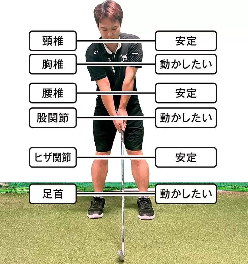 頸椎（安定）と腰椎（安定）で間にある胸椎（可動）がスムーズに動いてくれればヘッドスピードは上がる。胸椎の回旋と一緒に頚椎が回旋してしまうと、首や肘に負担が掛かり、ヘッドスピードも遅くなる。（モデル／宮
