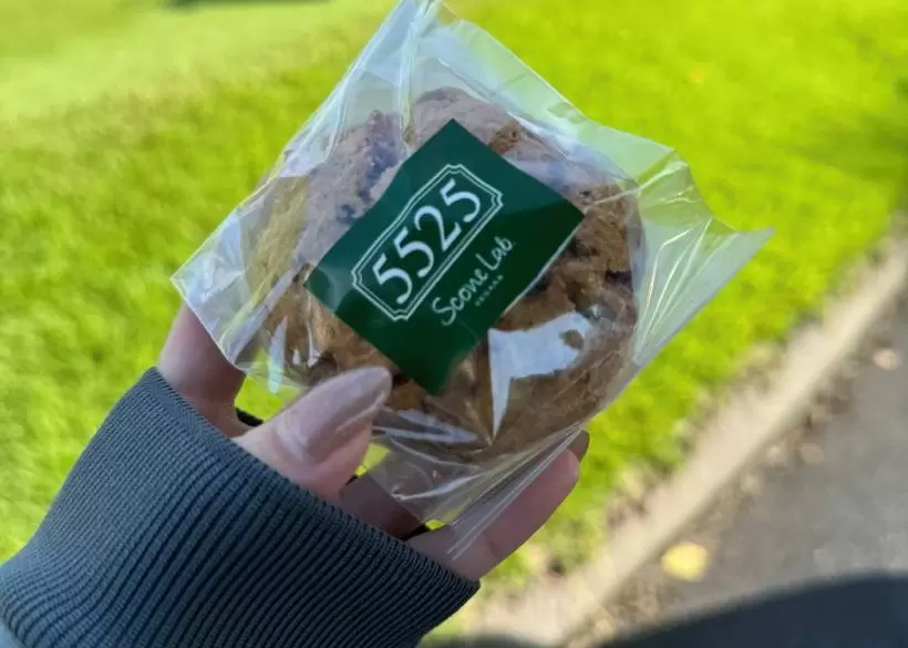 ゴルフ女子,ゴルフウェア,レディースウェア