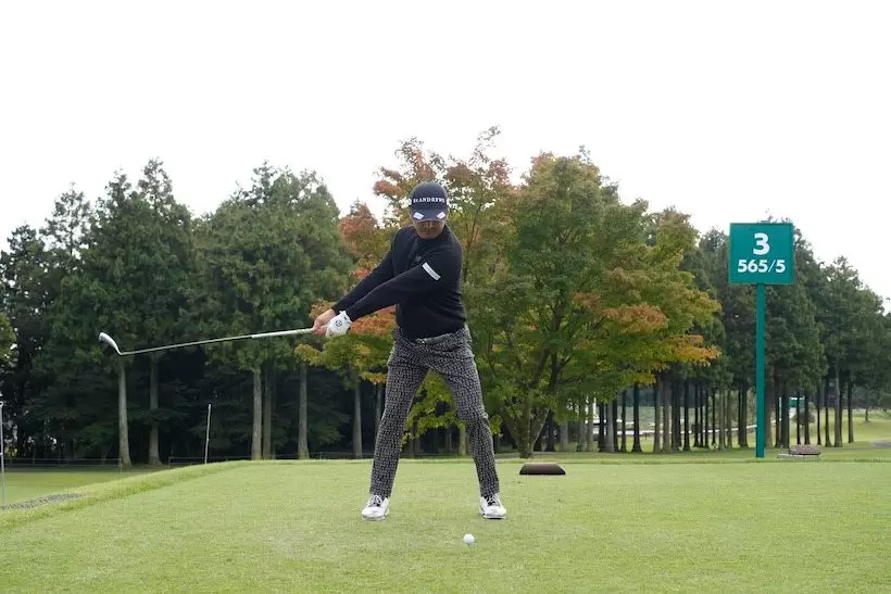 岩田寛,連続写真,ドライバー,スイング