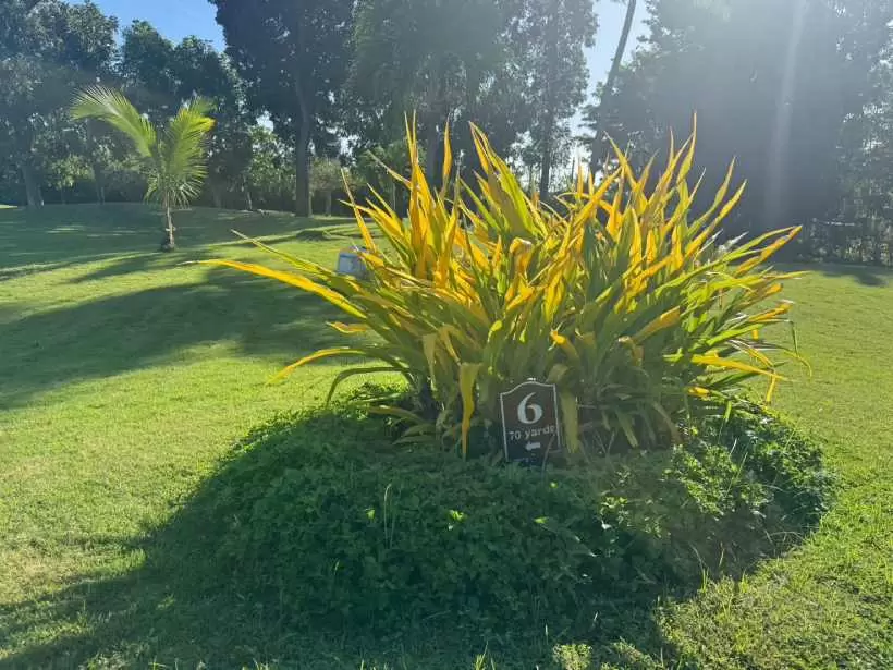 ゴルフ女子,海外ゴルフ,セブゴルフ,南国ゴルフ