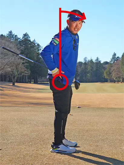 直立姿勢になり、腰のツケ根から軽くお辞儀するように上体を折り曲げる。