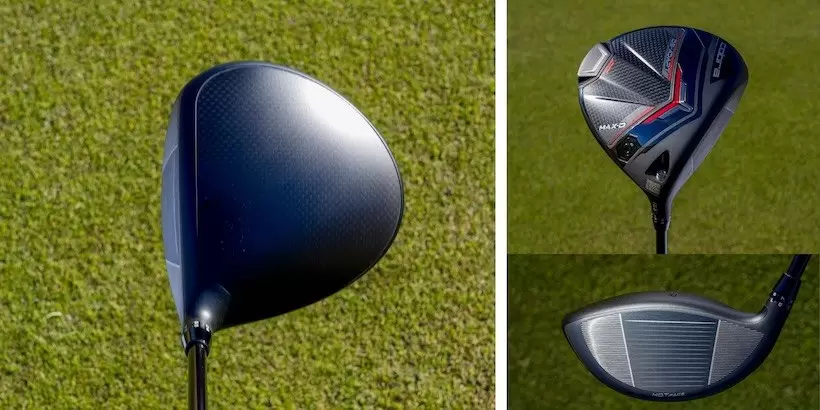 「DS-アダプト MAX D」