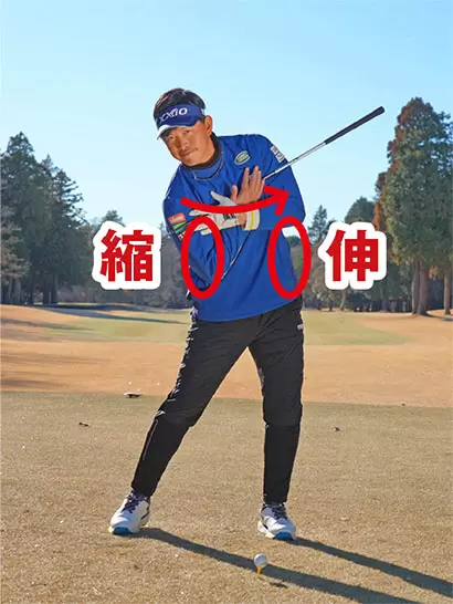 ダウンスイング以降の回転では右ワキ腹が縮んで左ワキ腹が伸びてくる。