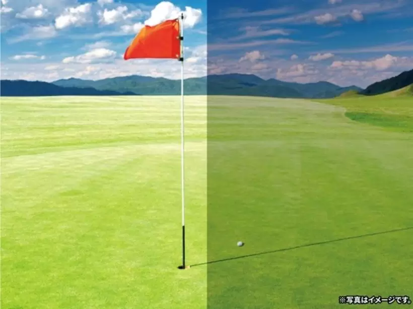 岩井姉妹,女子プロゴルファー,サングラス,ゴルフアイテム